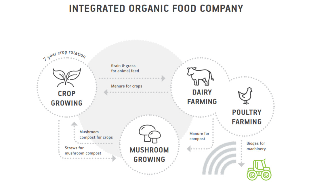 AUGA Organic, struktura bio výroby